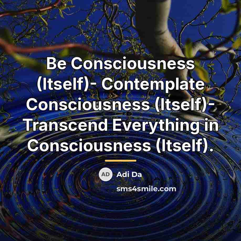 “Be Consciousness (Itself)- Contemplate Consciousness (Itself)- Transcend Everything in Consciousness…” quote by Adi Da