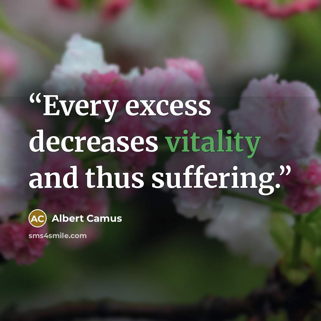 “Every excess decreases vitality and thus suffering.” quote by Albert Camus