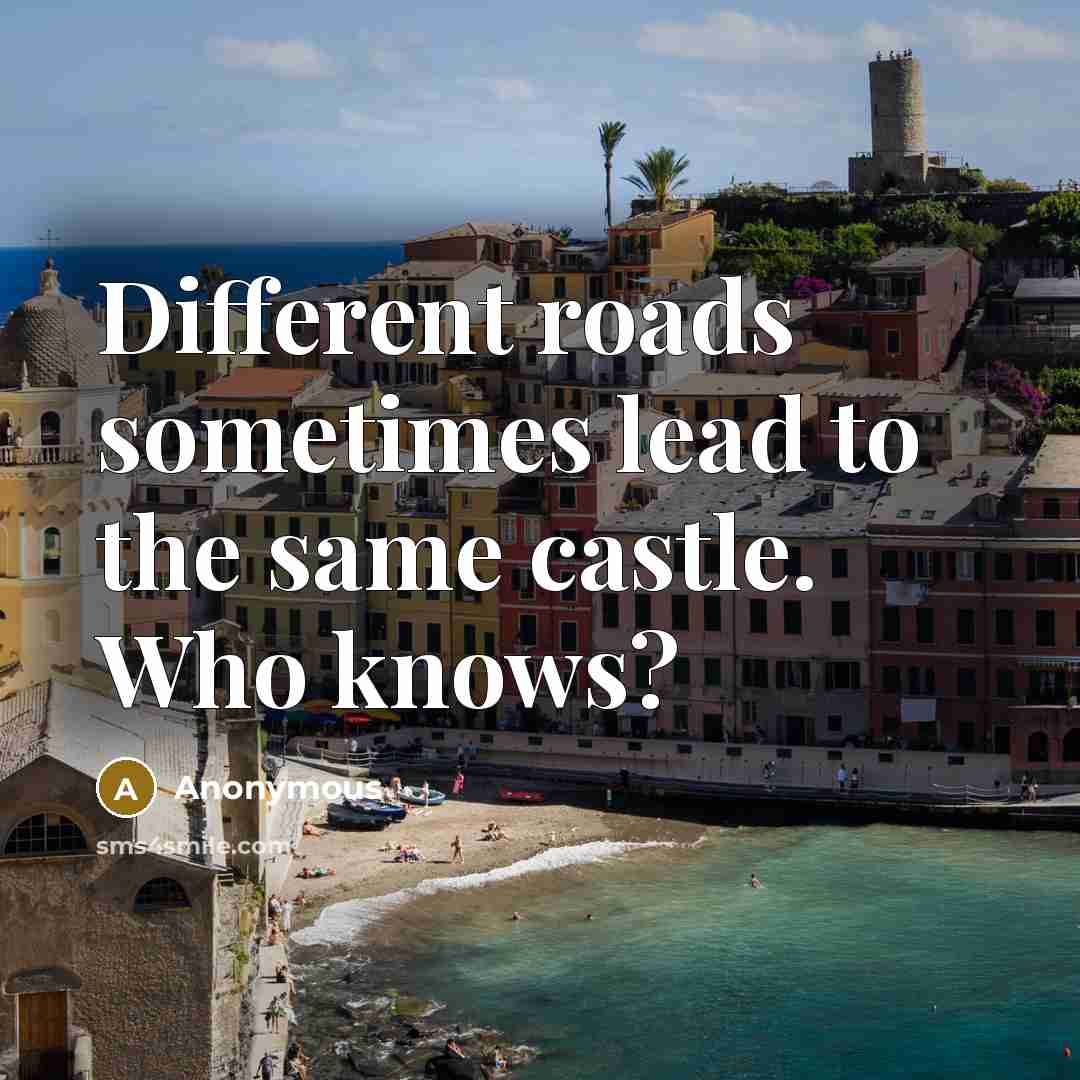 “Different roads sometimes lead to the same castle. Who knows?…” quote by Anonymous