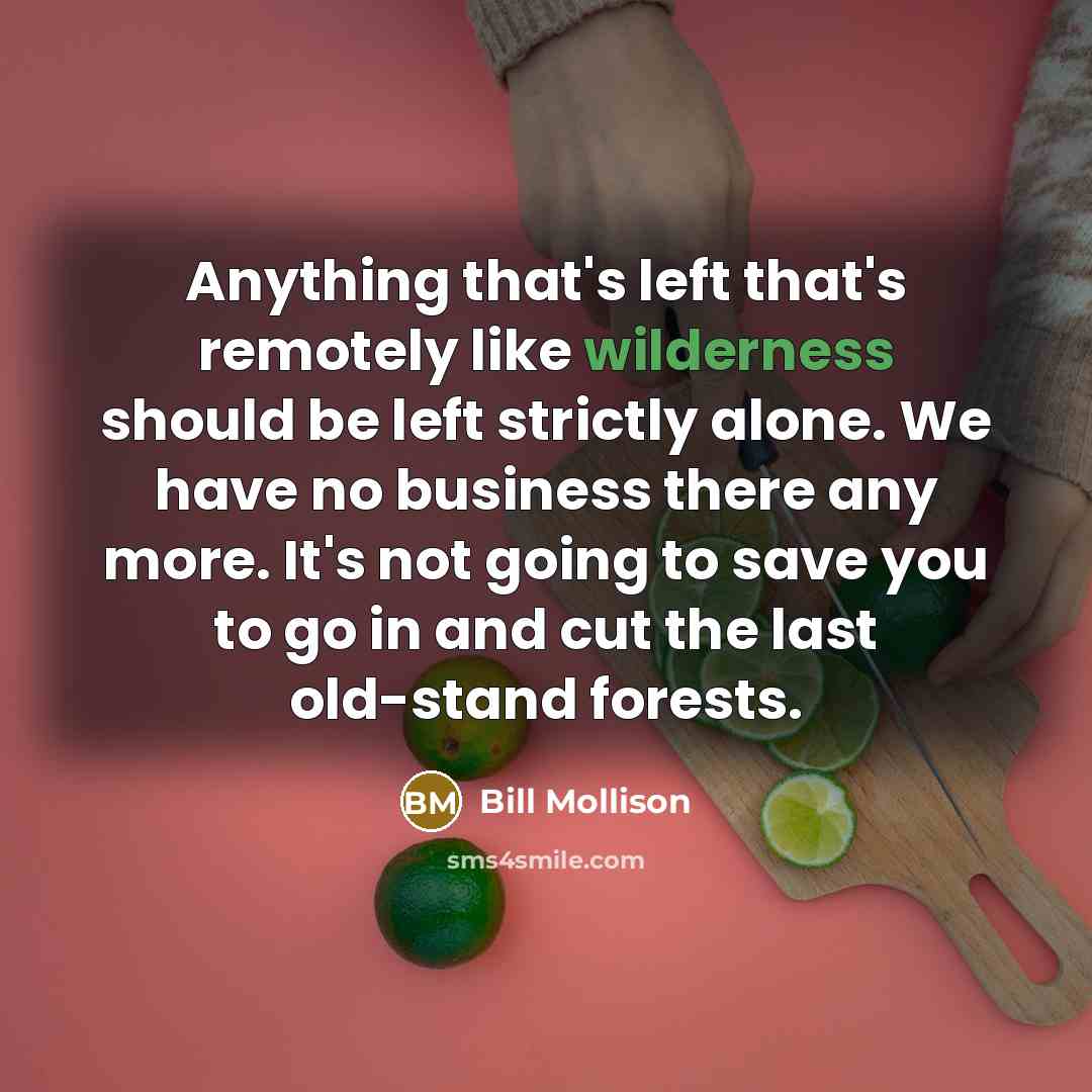 “Anything that's left that's remotely like wilderness should be left…” quote by Bill Mollison