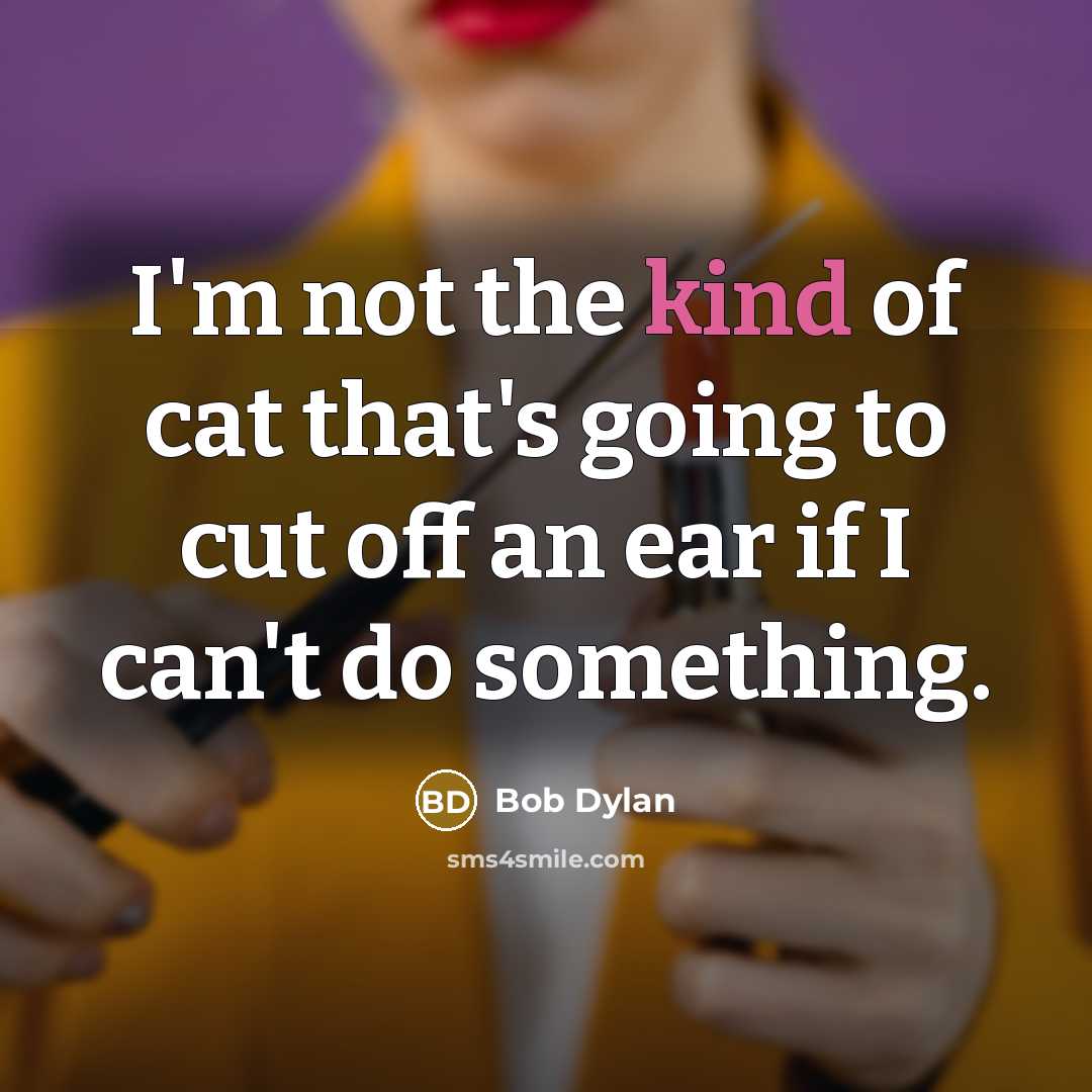 “I'm not the kind of cat that's going to cut…” quote by Bob Dylan