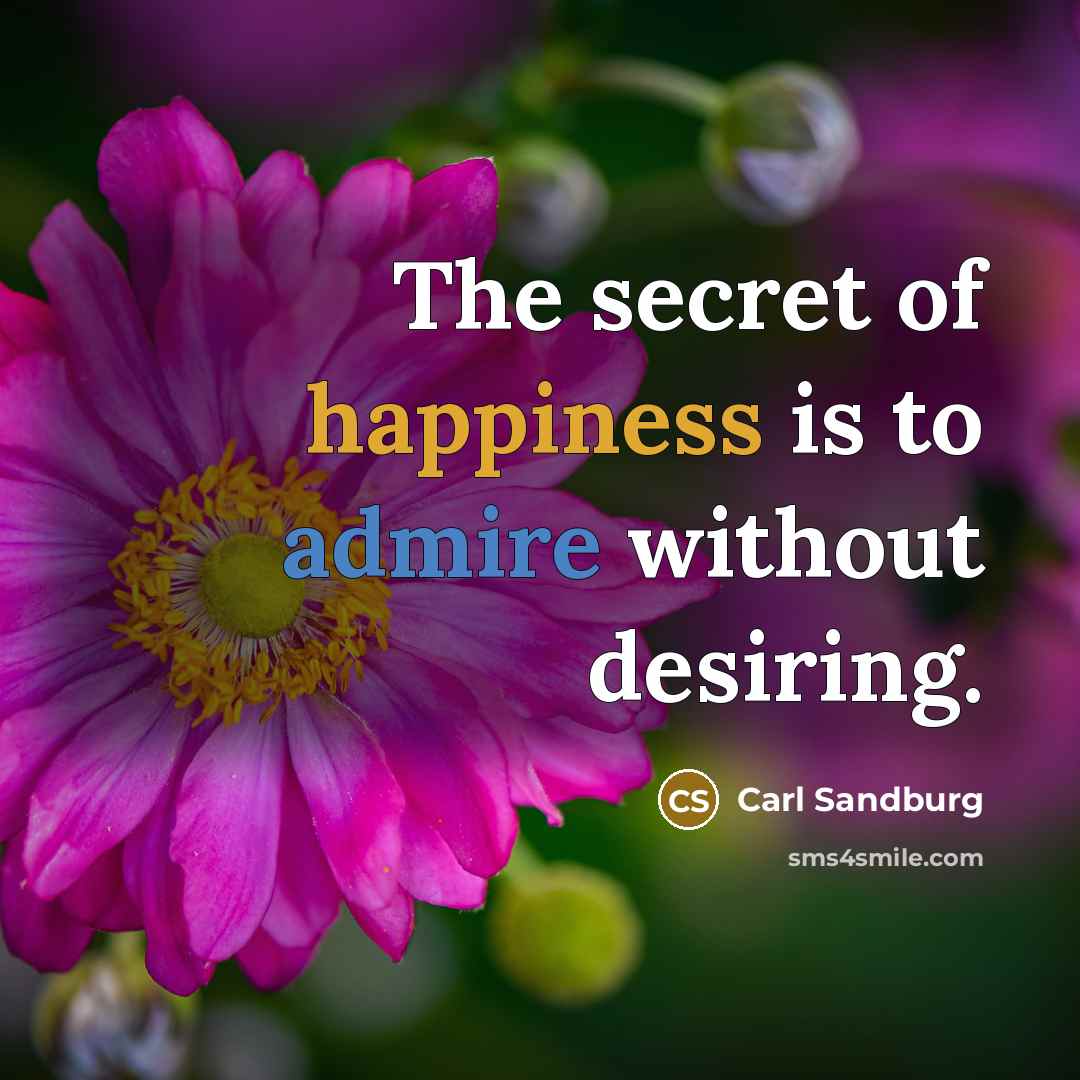 “The secret of happiness is to admire without desiring.…” quote by Carl Sandburg