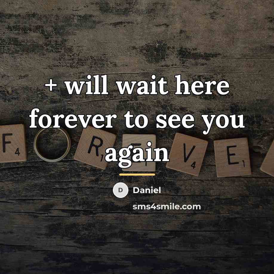 “+ will wait here forever to see you again…” quote by Daniel