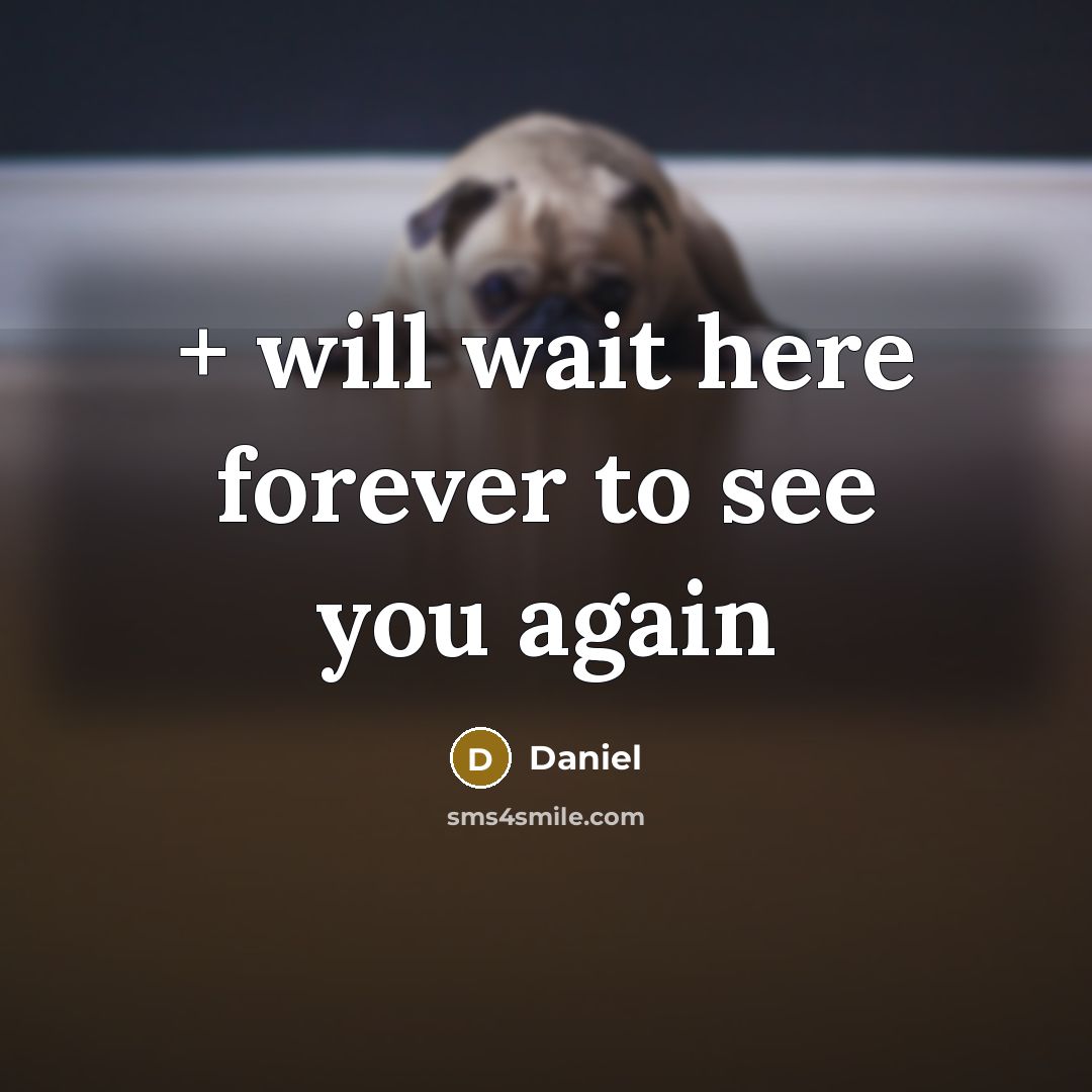 “+ will wait here forever to see you again” quote by Daniel