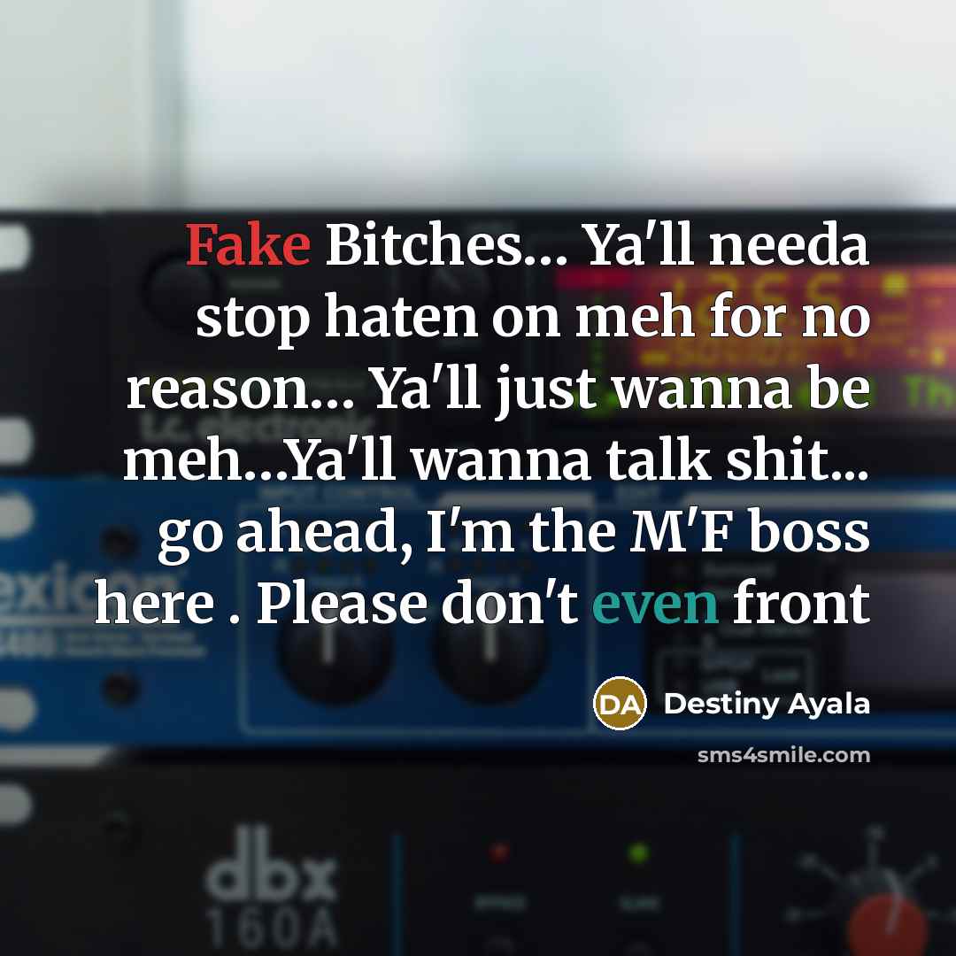 “Fake Bitches… Ya'll needa stop haten on meh for no reason… Ya'll just wanna be meh…Ya'll wanna talk shit... go ahead, I'm the M'F boss here . Please don't even front” quote by Destiny Ayala