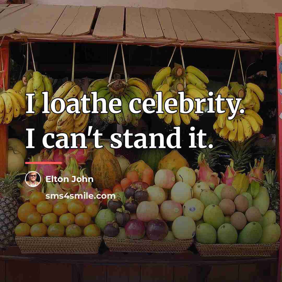 “I loathe celebrity. I can't stand it.…” quote by Elton John