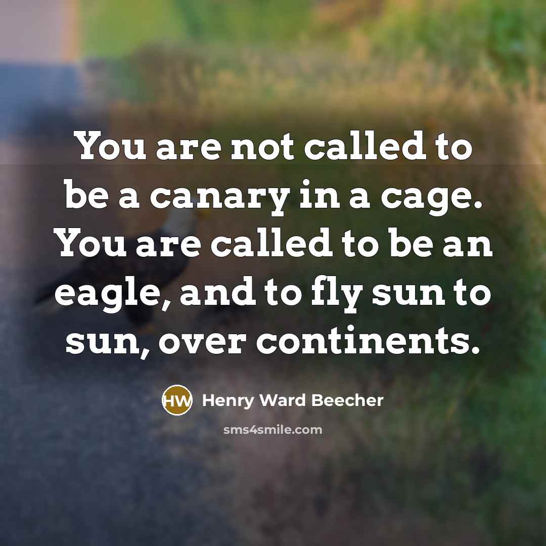 “You are not called to be a canary in a…” quote by Henry Ward Beecher