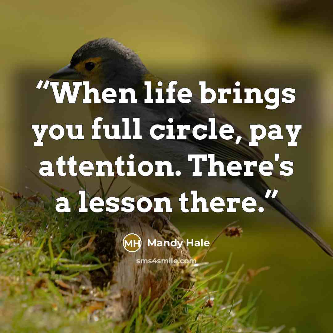 “When life brings you full circle, pay attention. There's a lesson there.” quote by Mandy Hale