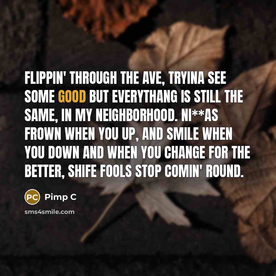 “Flippin' through the Ave, tryina see some good but everythang…” quote by Pimp C
