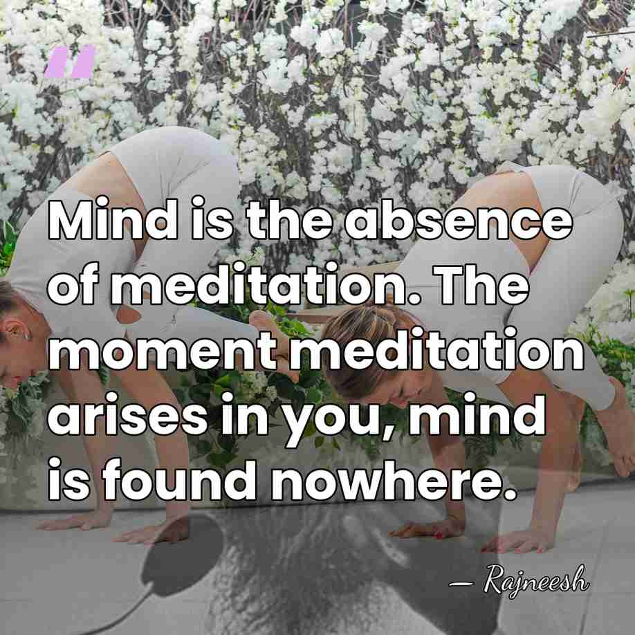 Mind is the absence of meditation. The moment meditation arises in you,&hellip; - Rajneesh