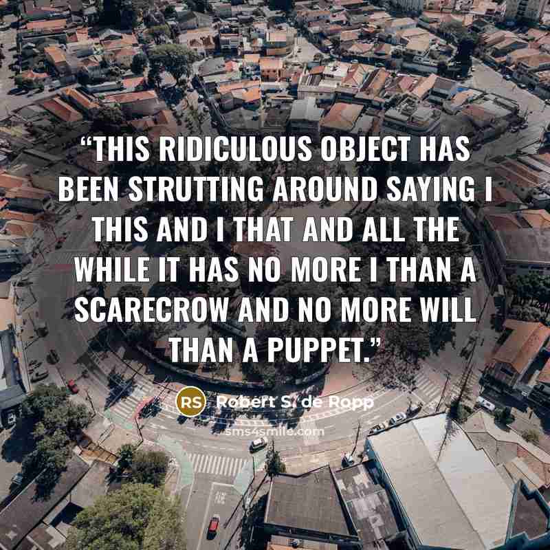 “This ridiculous object has been strutting around saying I this and I that and all the while it has no more I than a scarecrow and no more will than a puppet.” quote by Robert S. de Ropp