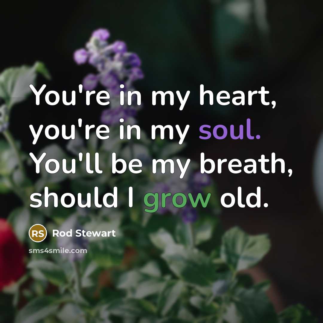 “You're in my heart, you're in my soul. You'll be my breath, should I grow old.” quote by Rod Stewart