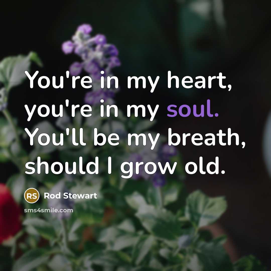 “You're in my heart, you're in my soul. You'll be…” quote by Rod Stewart