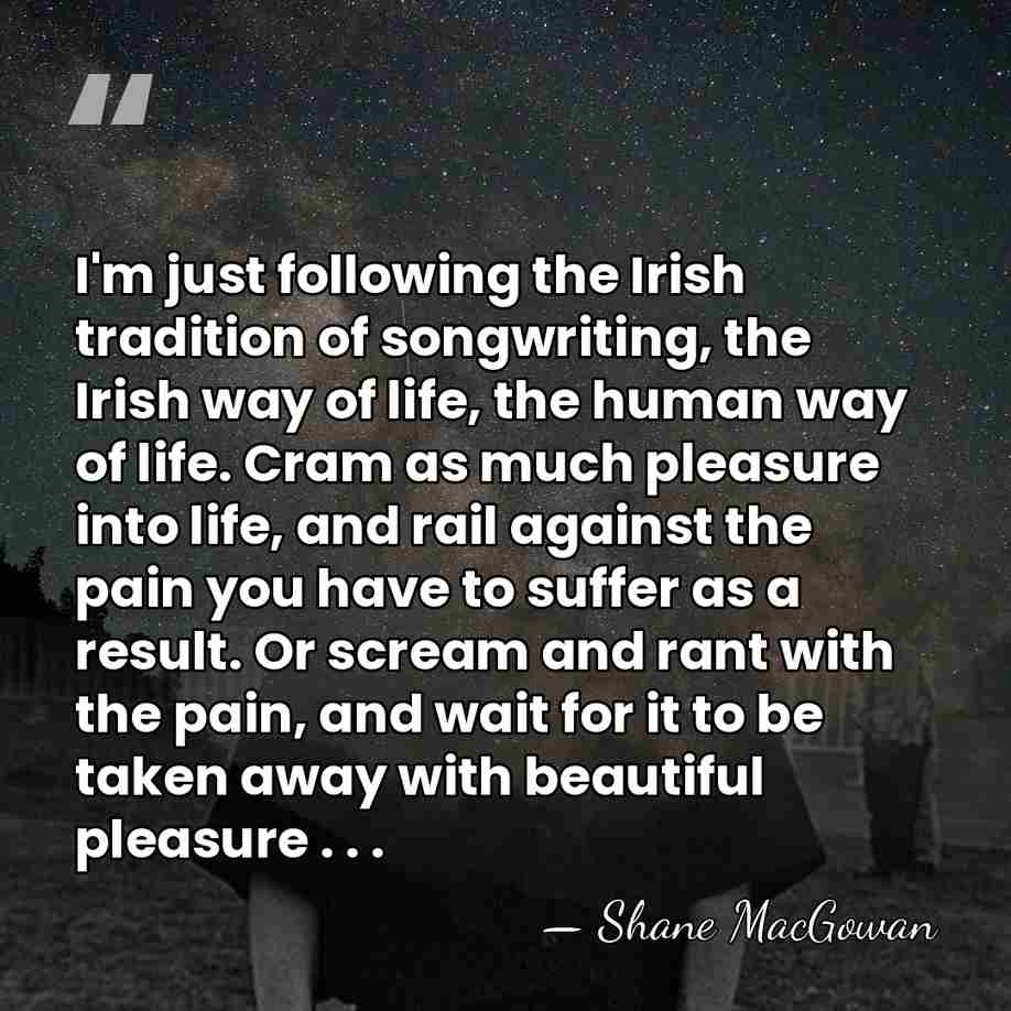 I'm just following the Irish tradition of songwriting, the Irish way of&hellip; - Shane MacGowan