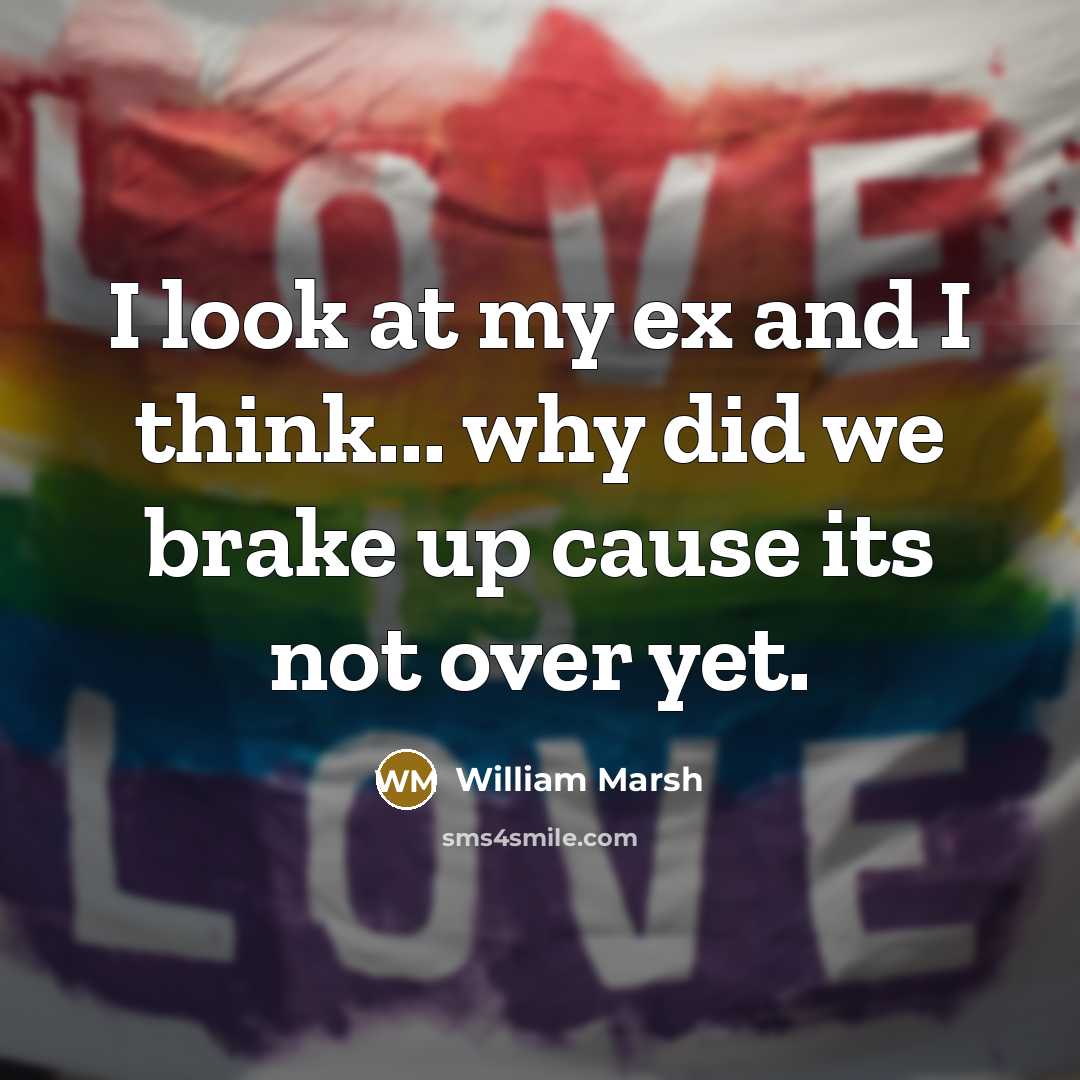 “I look at my ex and I think... why did…” quote by William Marsh