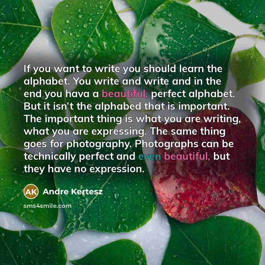 “If you want to write you should learn the alphabet.…” quote by Andre Kertesz