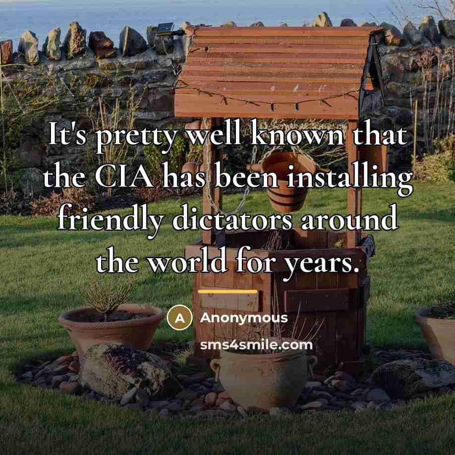 “It's pretty well known that the CIA has been installing…” quote by Anonymous