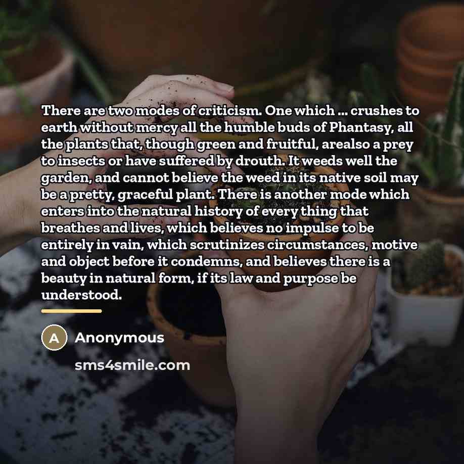“There are two modes of criticism. One which ... crushes…” quote by Anonymous
