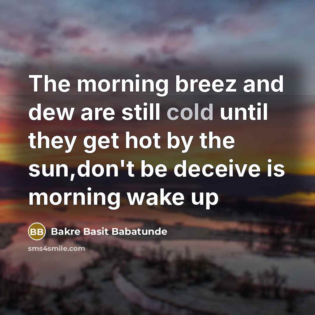“The morning breez and dew are still cold until they…” quote by Bakre Basit Babatunde
