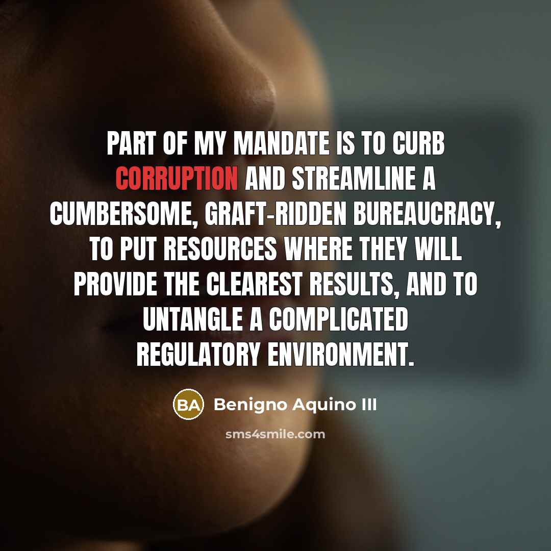 “Part of my mandate is to curb corruption and streamline…” quote by Benigno Aquino III