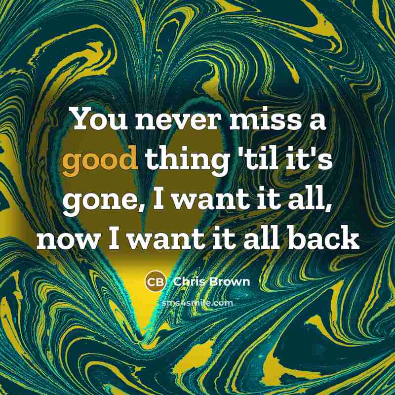“You never miss a good thing 'til it's gone, I…” quote by Chris Brown