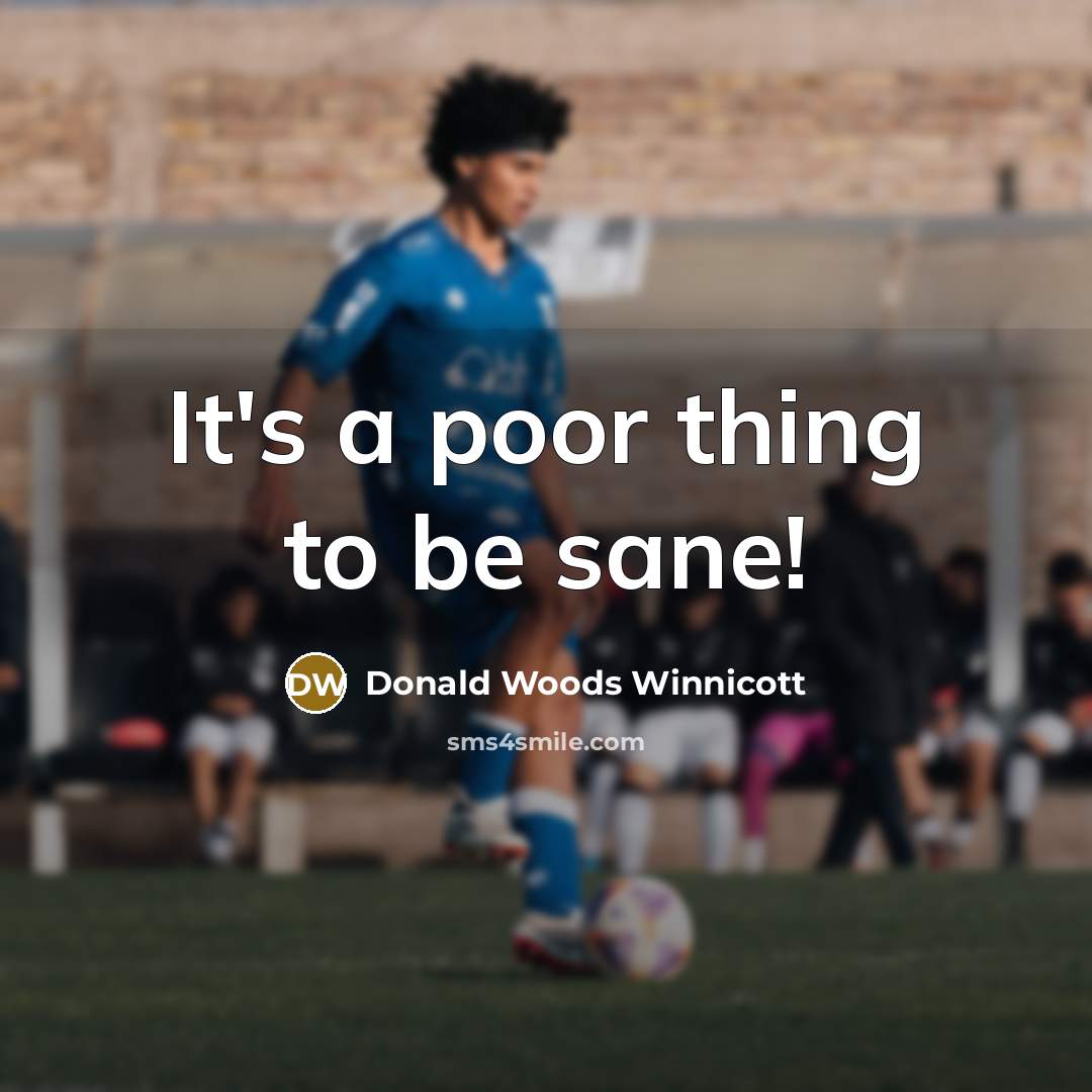 “It's a poor thing to be sane!…” quote by Donald Woods Winnicott