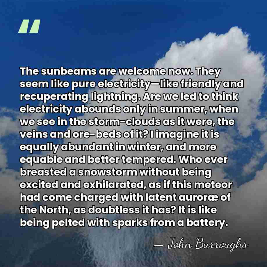 The sunbeams are welcome now. They seem like pure electricity—like friendly and&hellip; - John Burroughs