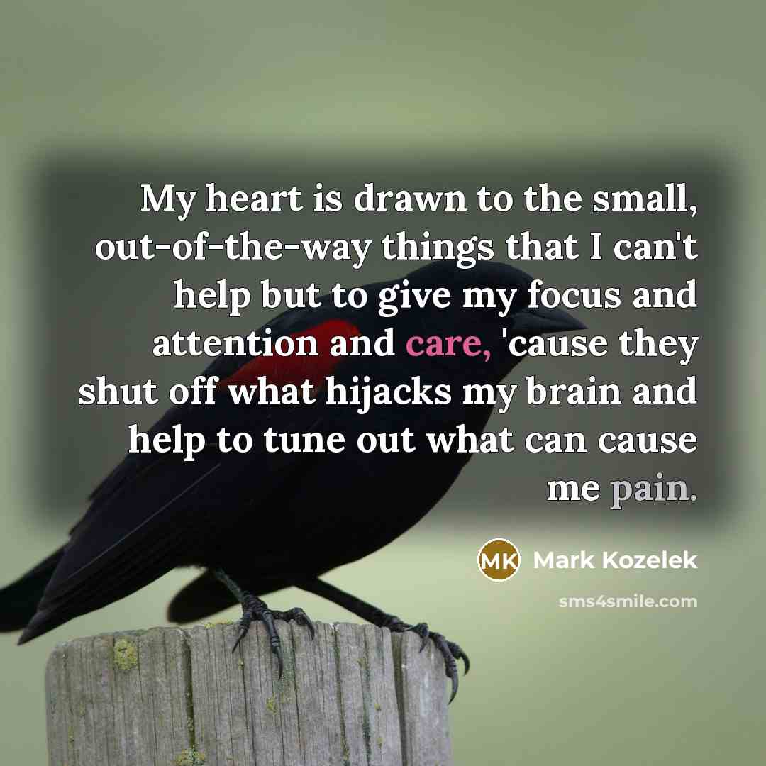 “My heart is drawn to the small, out-of-the-way things that…” quote by Mark Kozelek