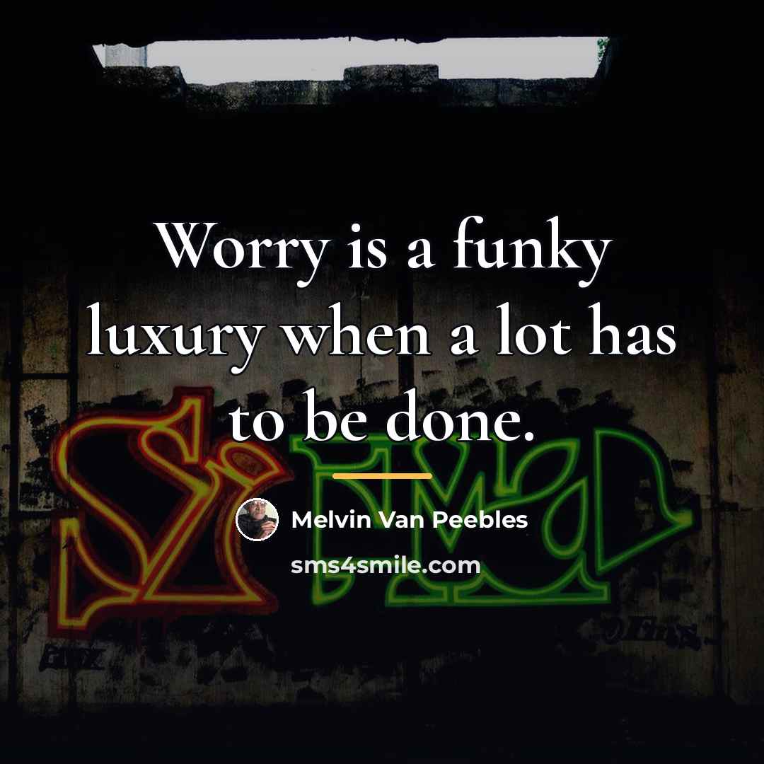 “Worry is a funky luxury when a lot has to…” quote by Melvin Van Peebles