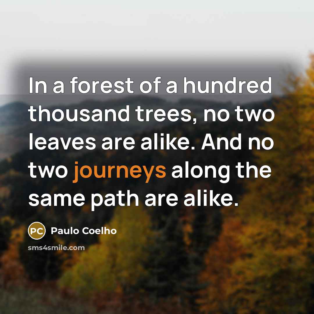 “In a forest of a hundred thousand trees, no two leaves are alike. And no two journeys along the same path are alike.” quote by Paulo Coelho