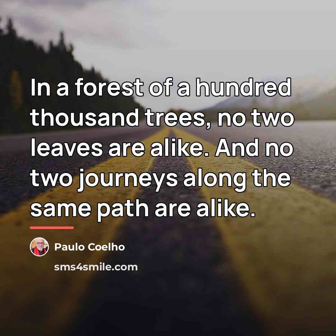 “In a forest of a hundred thousand trees, no two…” quote by Paulo Coelho