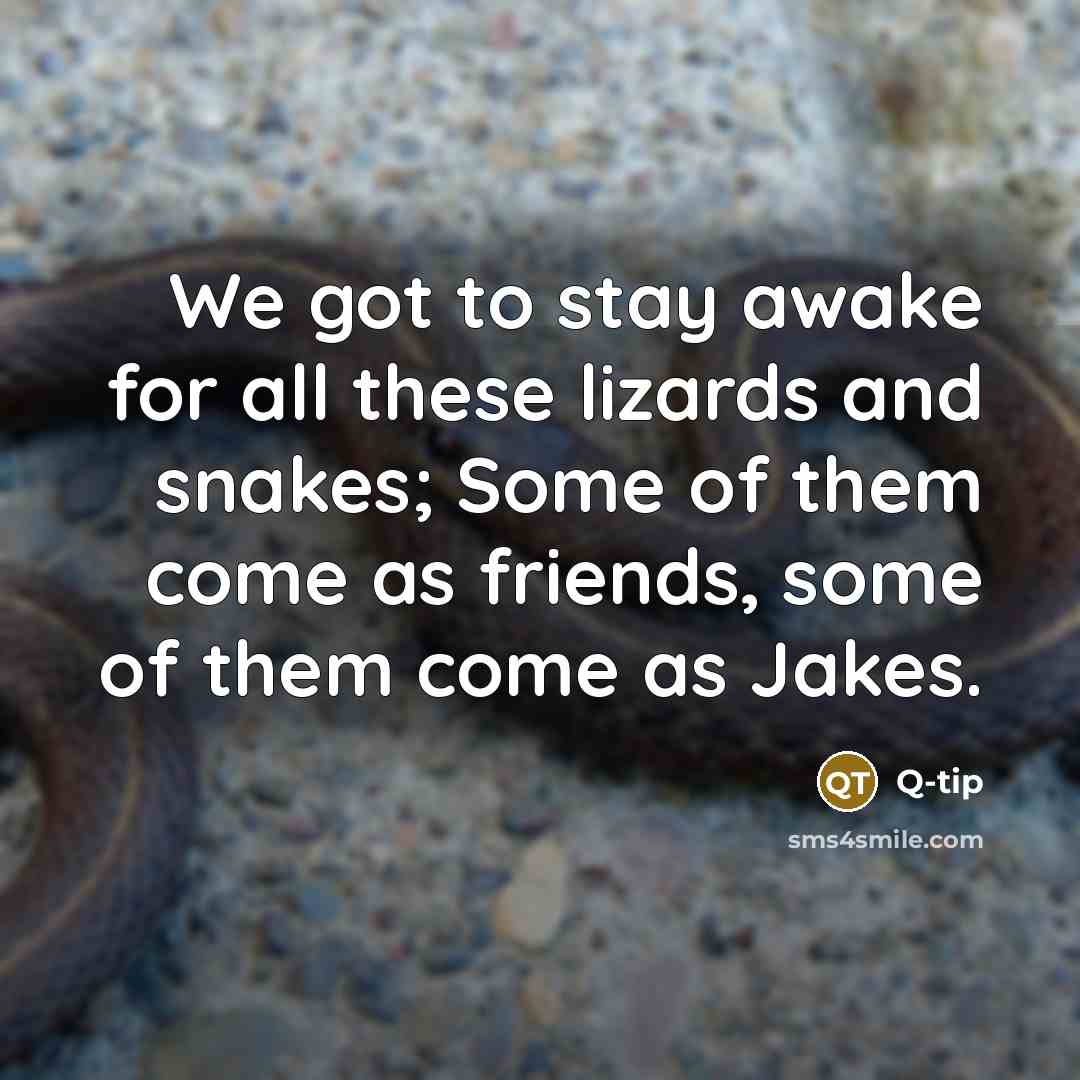 “We got to stay awake for all these lizards and…” quote by Q-Tip