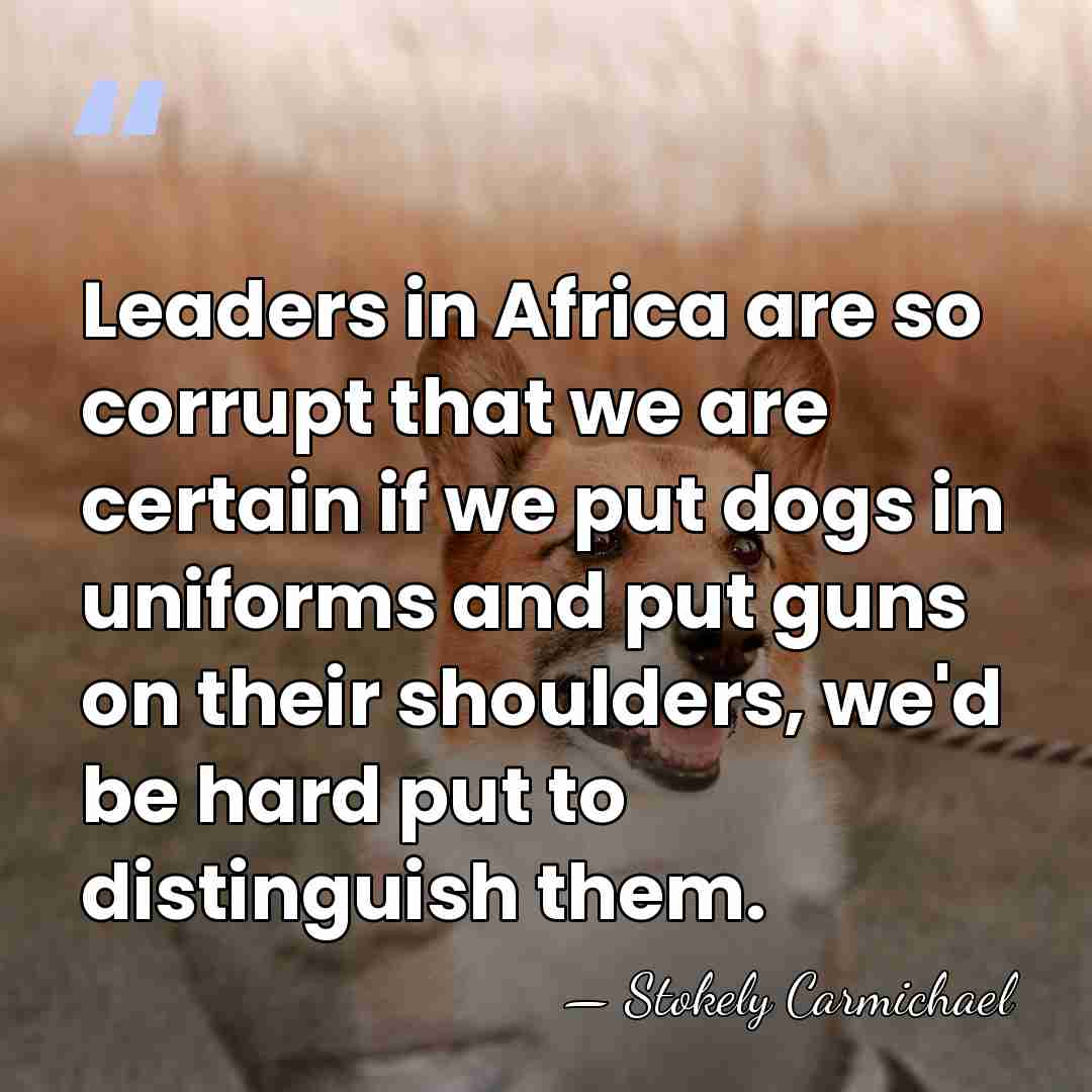 Leaders in Africa are so corrupt that we are certain if we&hellip; - Stokely Carmichael