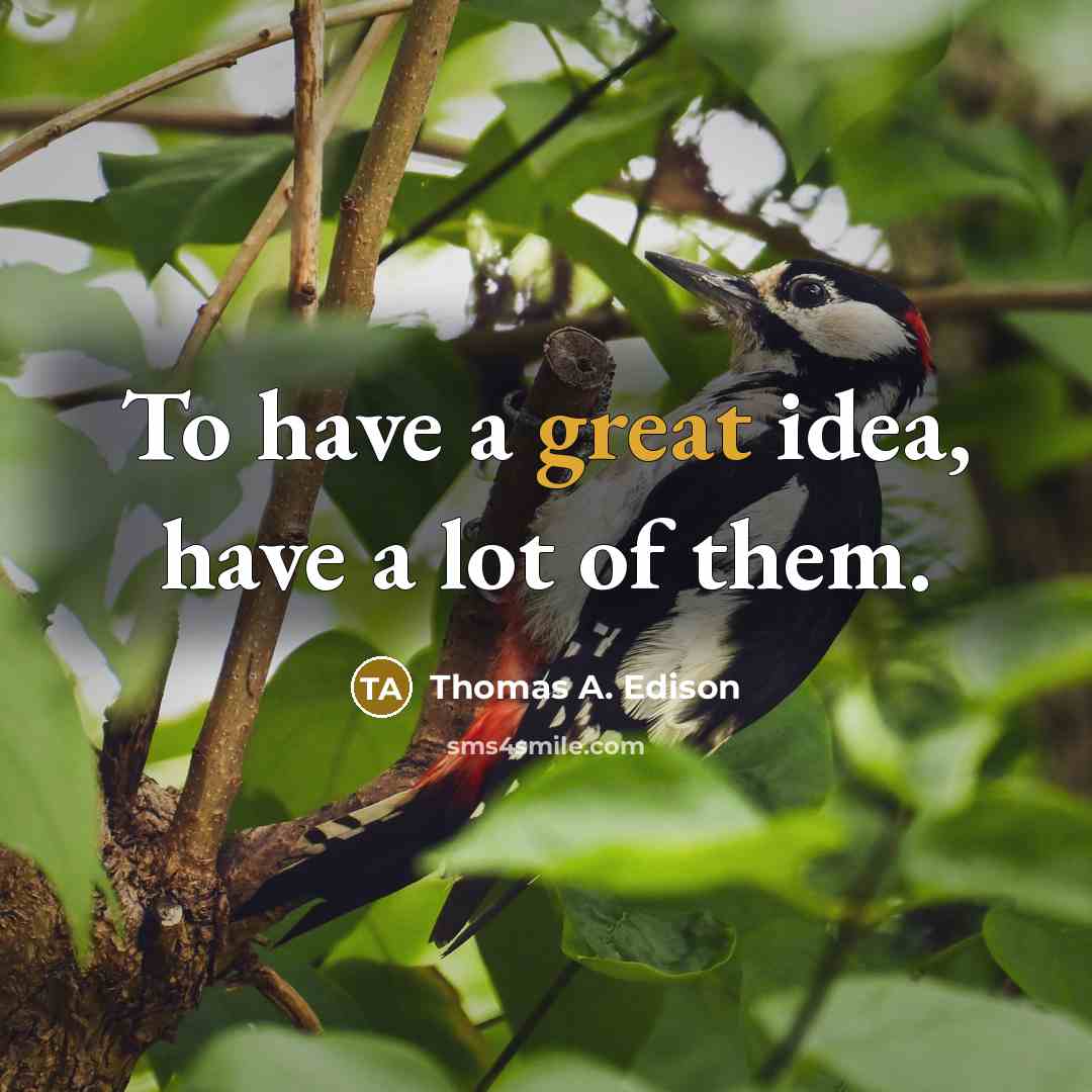 “To have a great idea, have a lot of them.…” quote by Thomas A. Edison