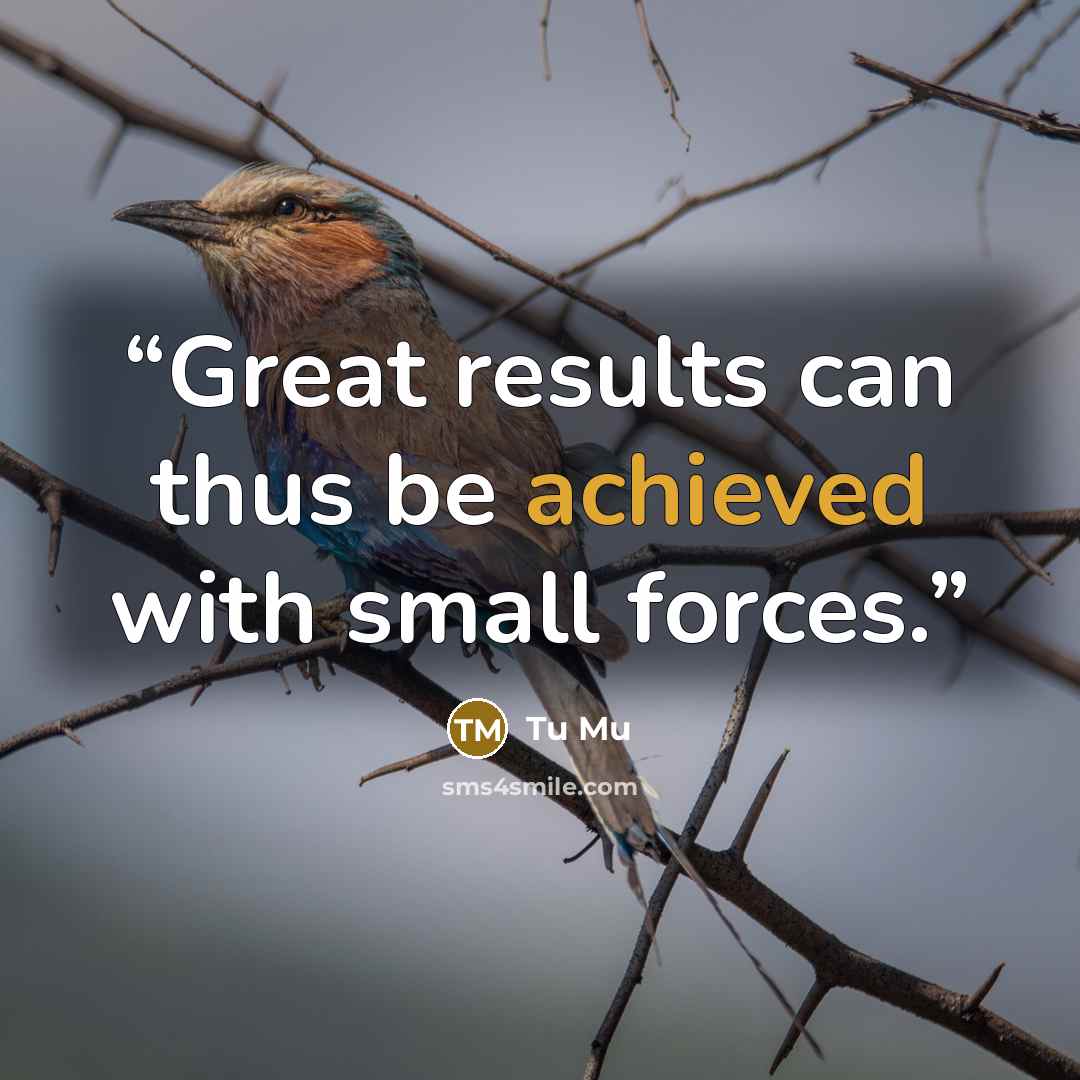 “Great results can thus be achieved with small forces.” quote by Tu Mu