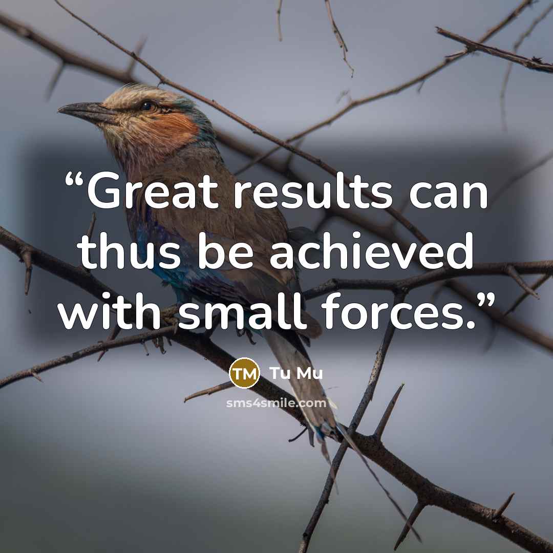 “Great results can thus be achieved with small forces.” quote by Tu Mu
