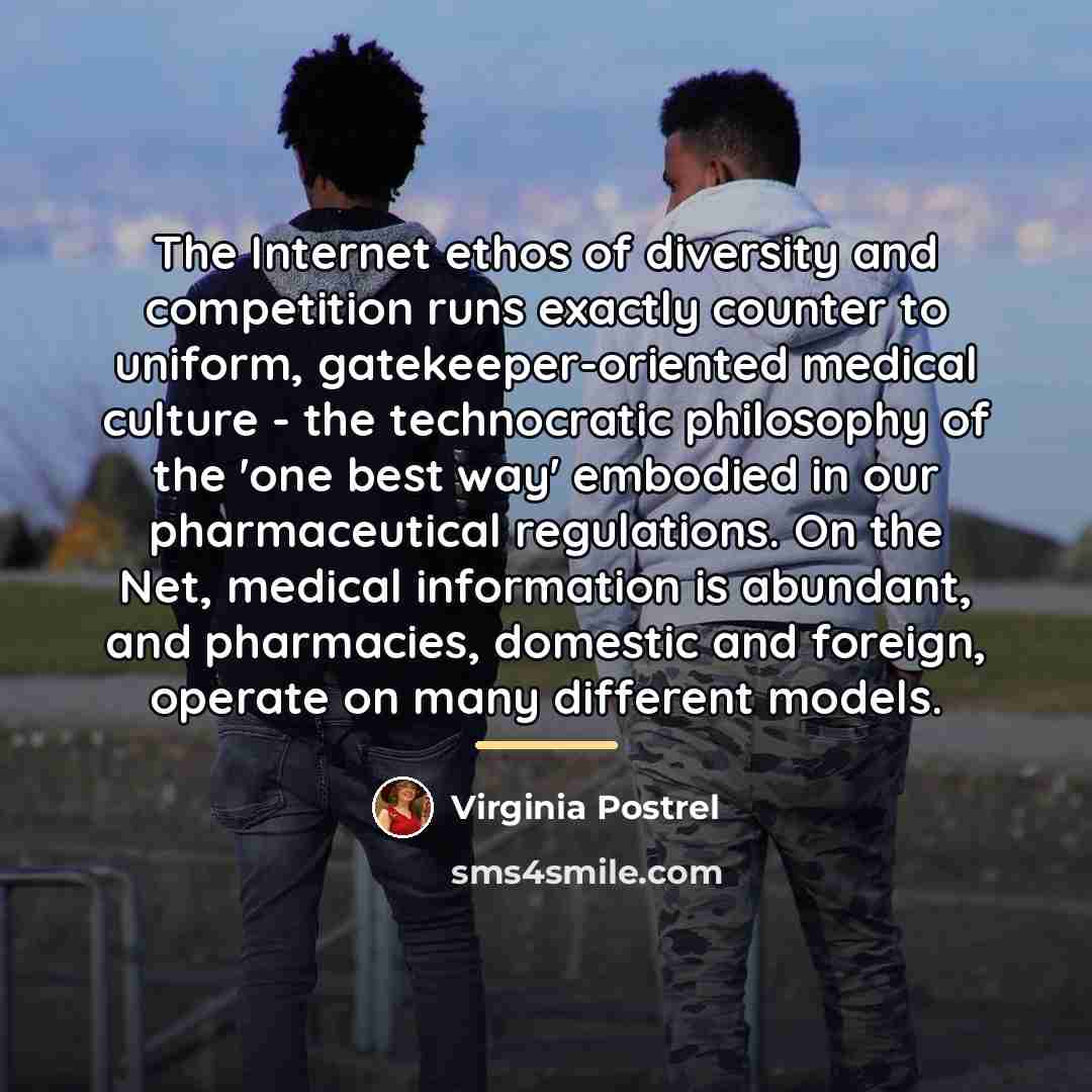“The Internet ethos of diversity and competition runs exactly counter…” quote by Virginia Postrel
