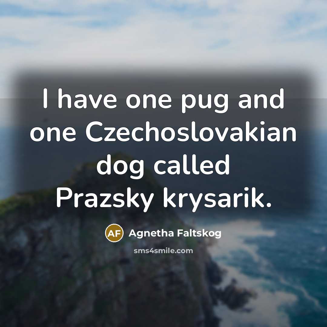 “I have one pug and one Czechoslovakian dog called Prazsky…” quote by Agnetha Faltskog