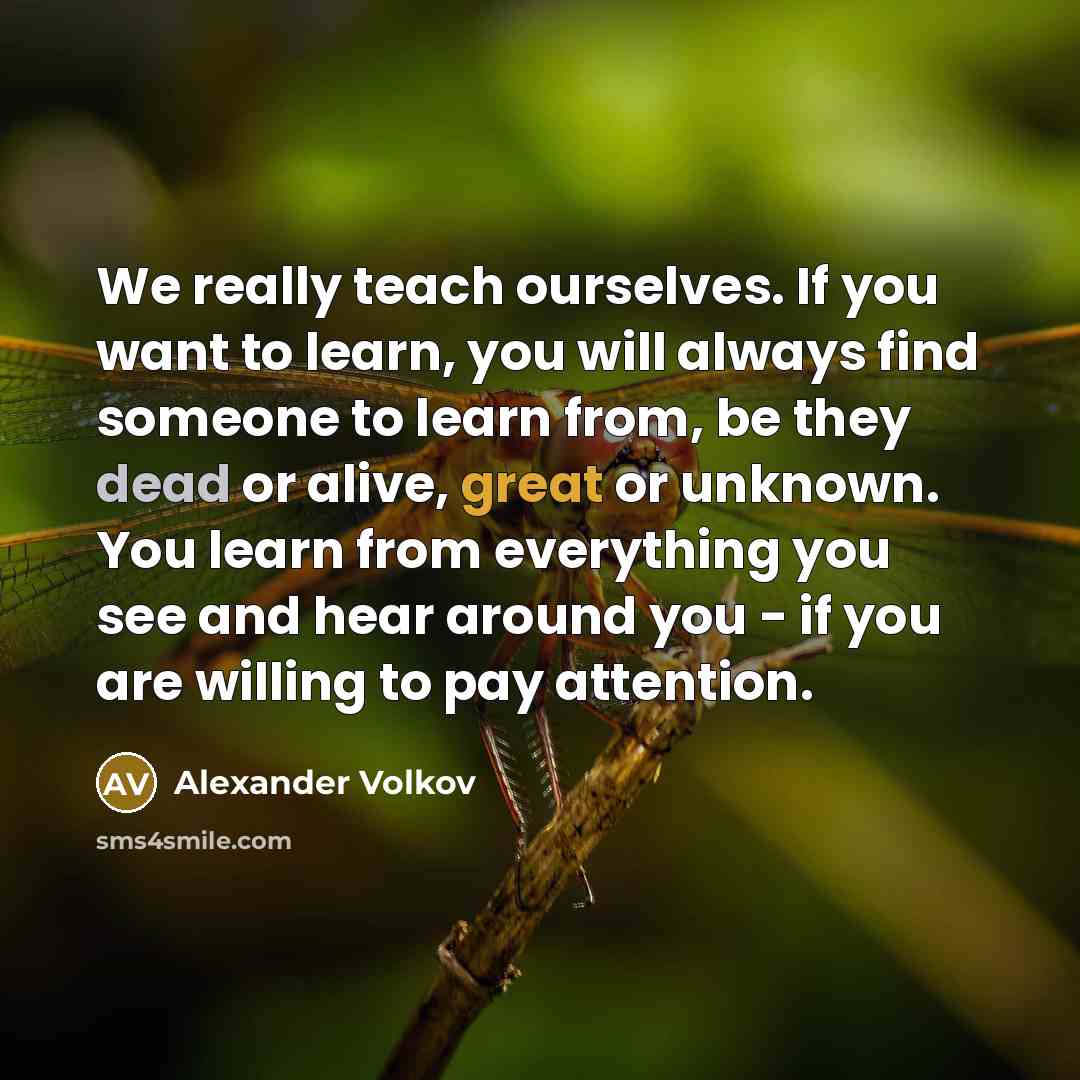 “We really teach ourselves. If you want to learn, you…” quote by Alexander Volkov