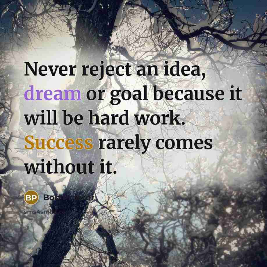 “Never reject an idea, dream or goal because it will…” quote by Bob Proctor
