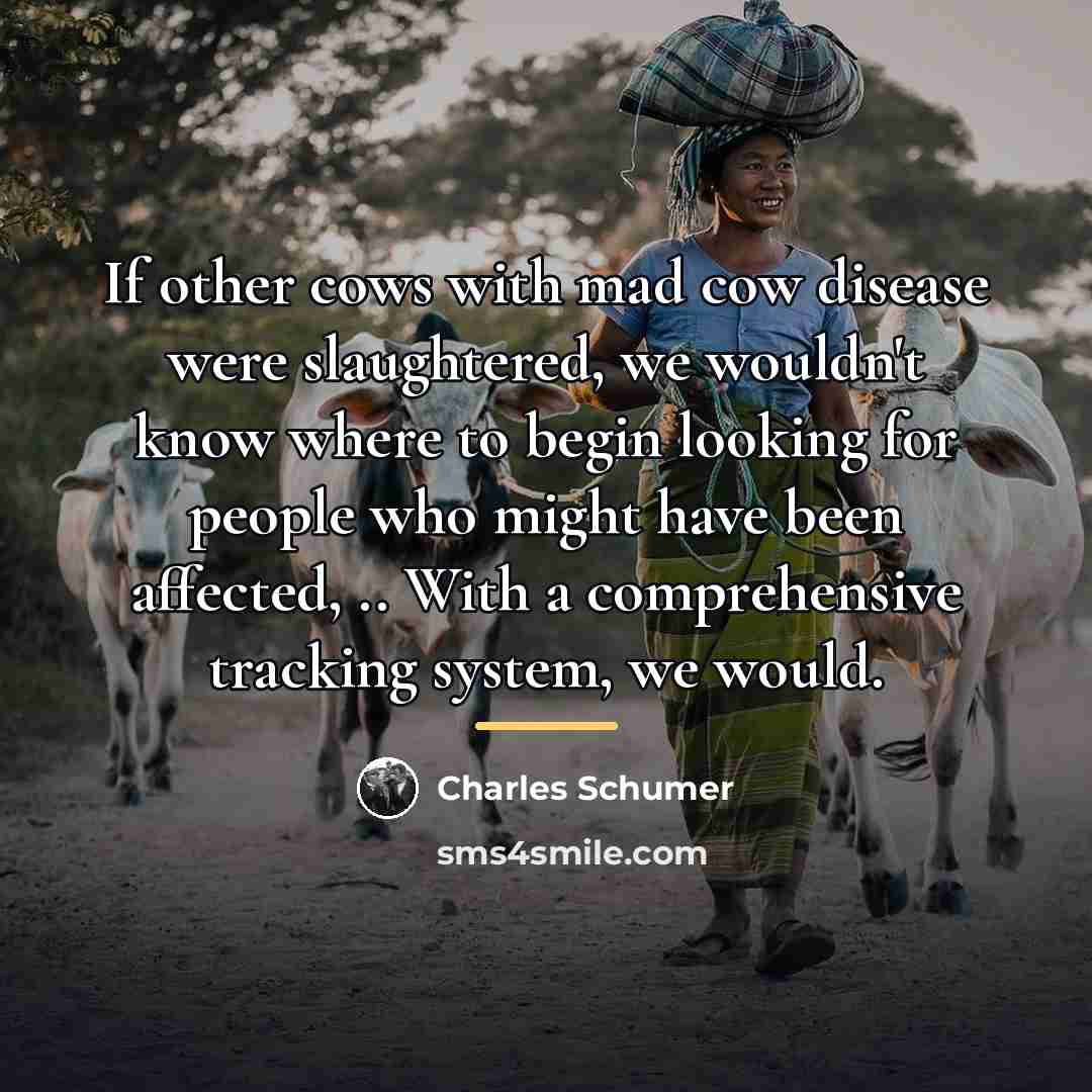 “If other cows with mad cow disease were slaughtered, we…” quote by Charles Schumer