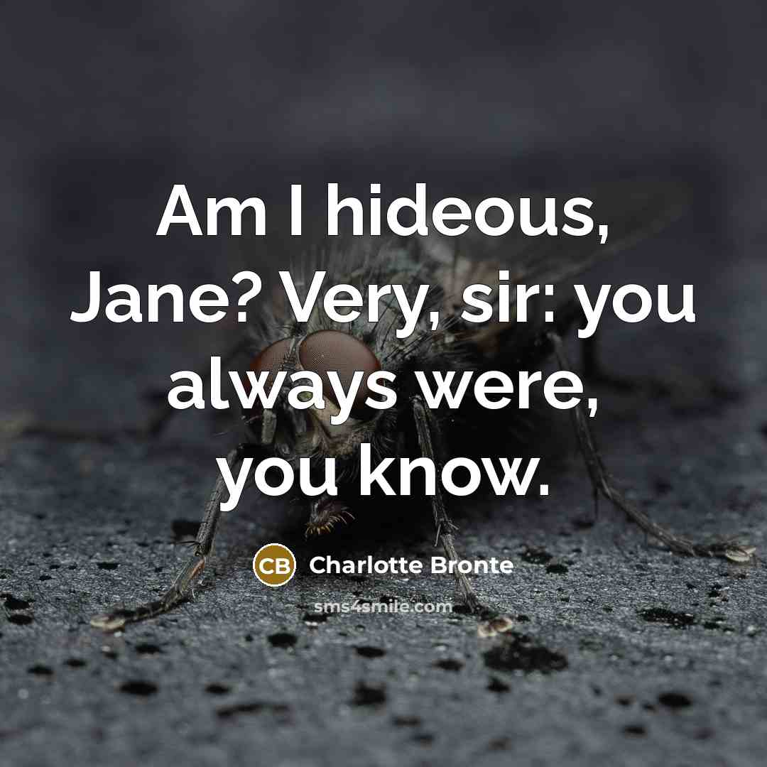 “Am I hideous, Jane? Very, sir: you always were, you…” quote by Charlotte Bronte