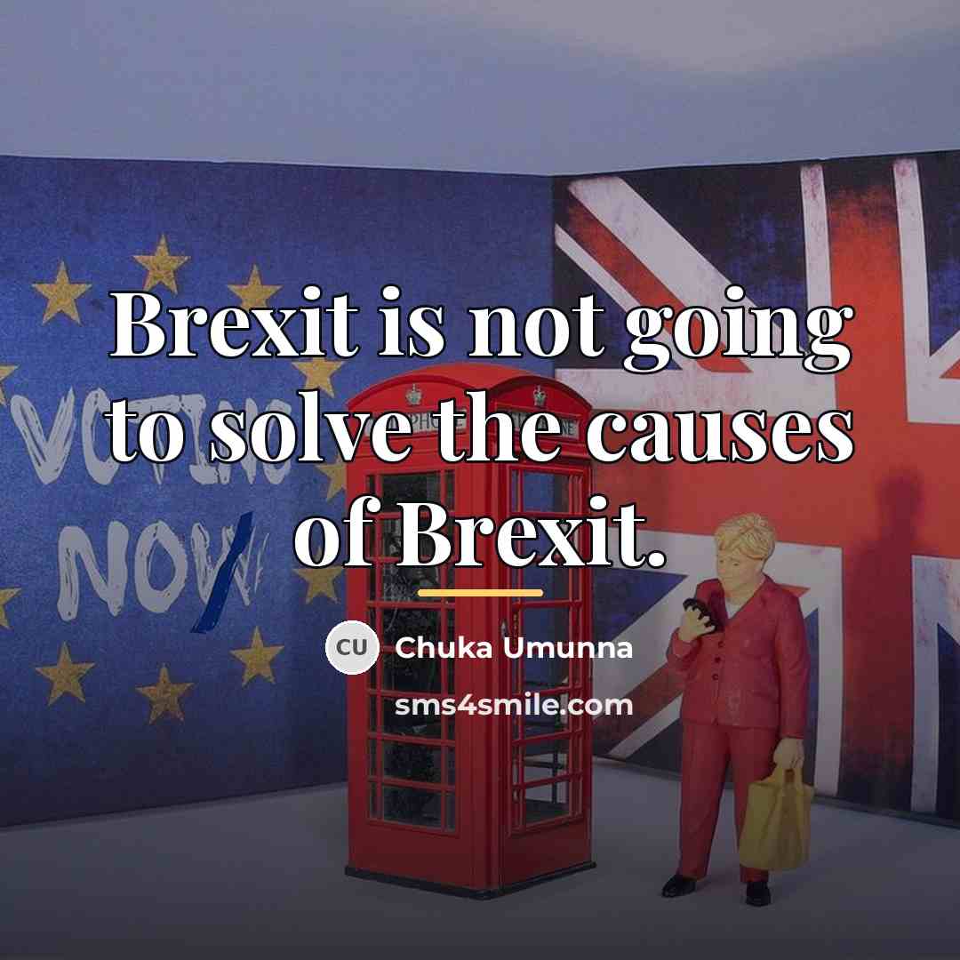 “Brexit is not going to solve the causes of Brexit.…” quote by Chuka Umunna