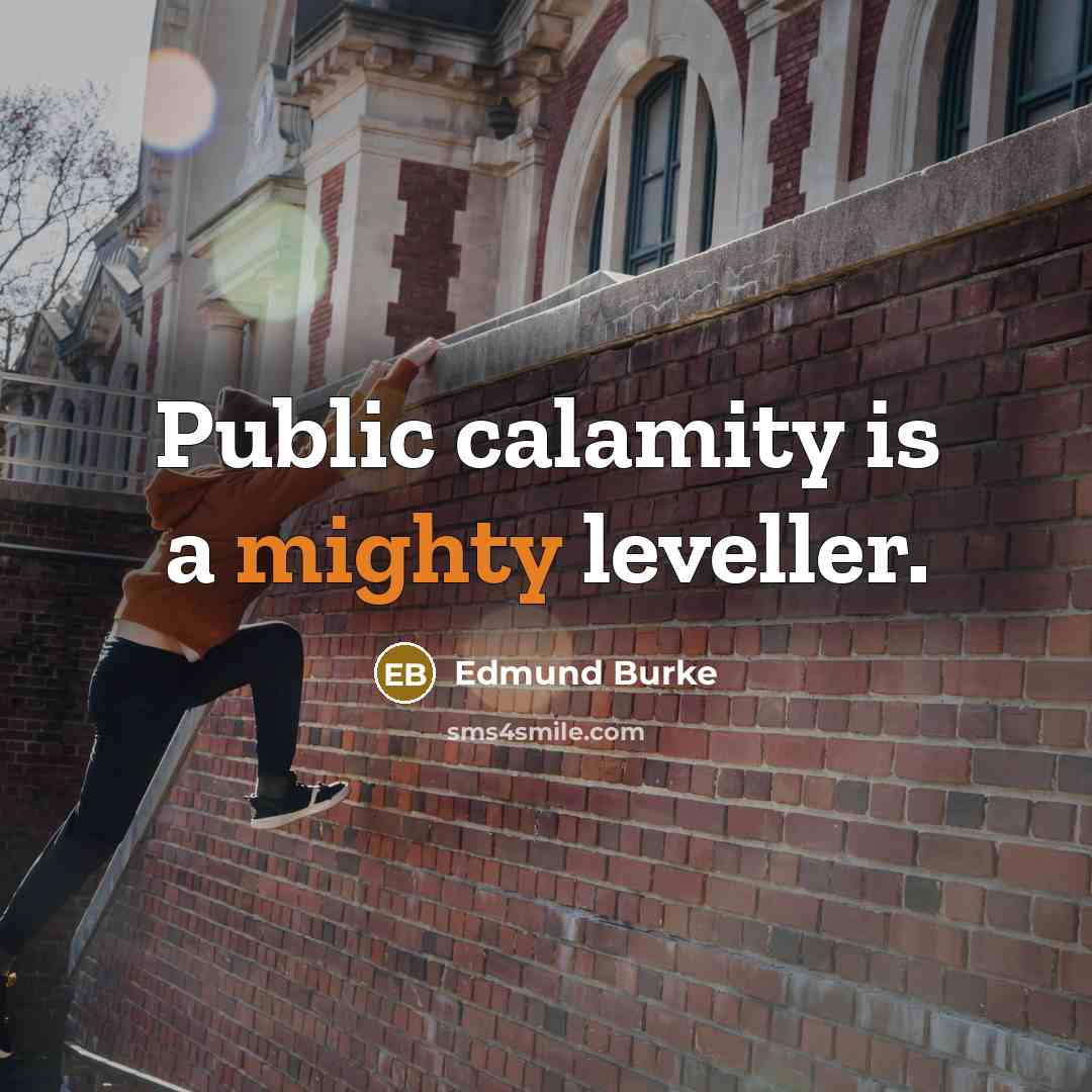 “Public calamity is a mighty leveller.…” quote by Edmund Burke