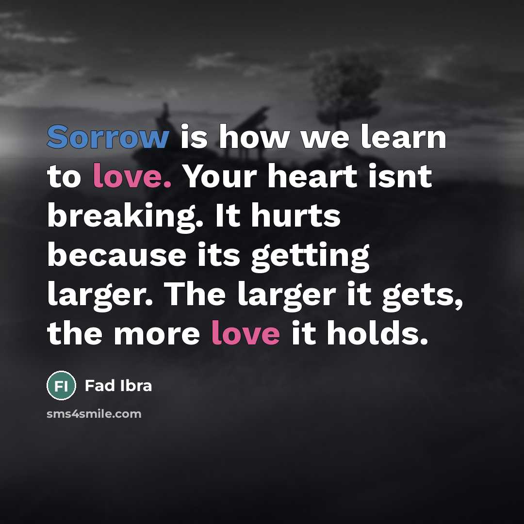 “Sorrow is how we learn to love. Your heart isnt…” quote by Fad Ibra