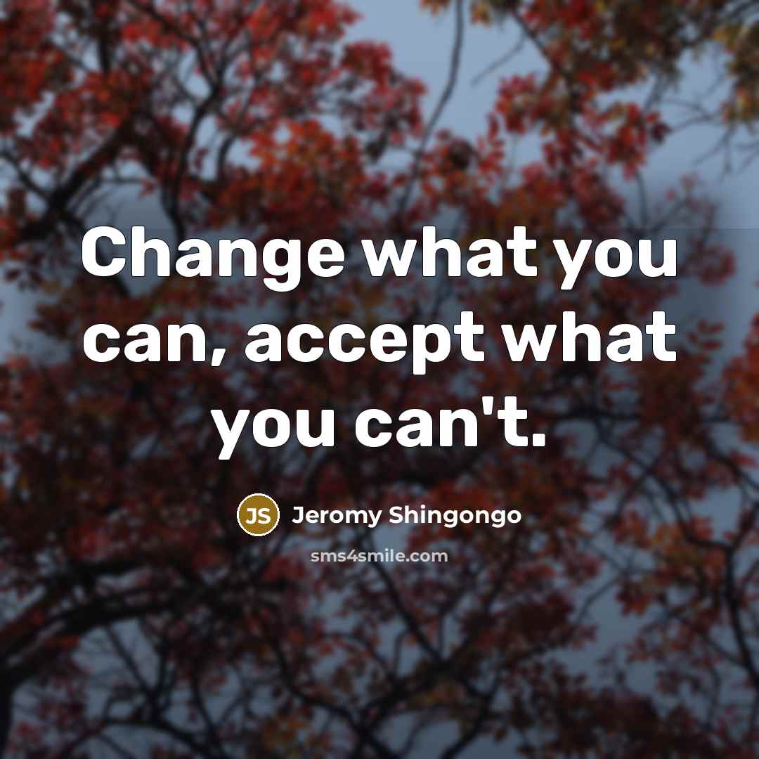 “Change what you can, accept what you can't.…” quote by Jeromy Shingongo