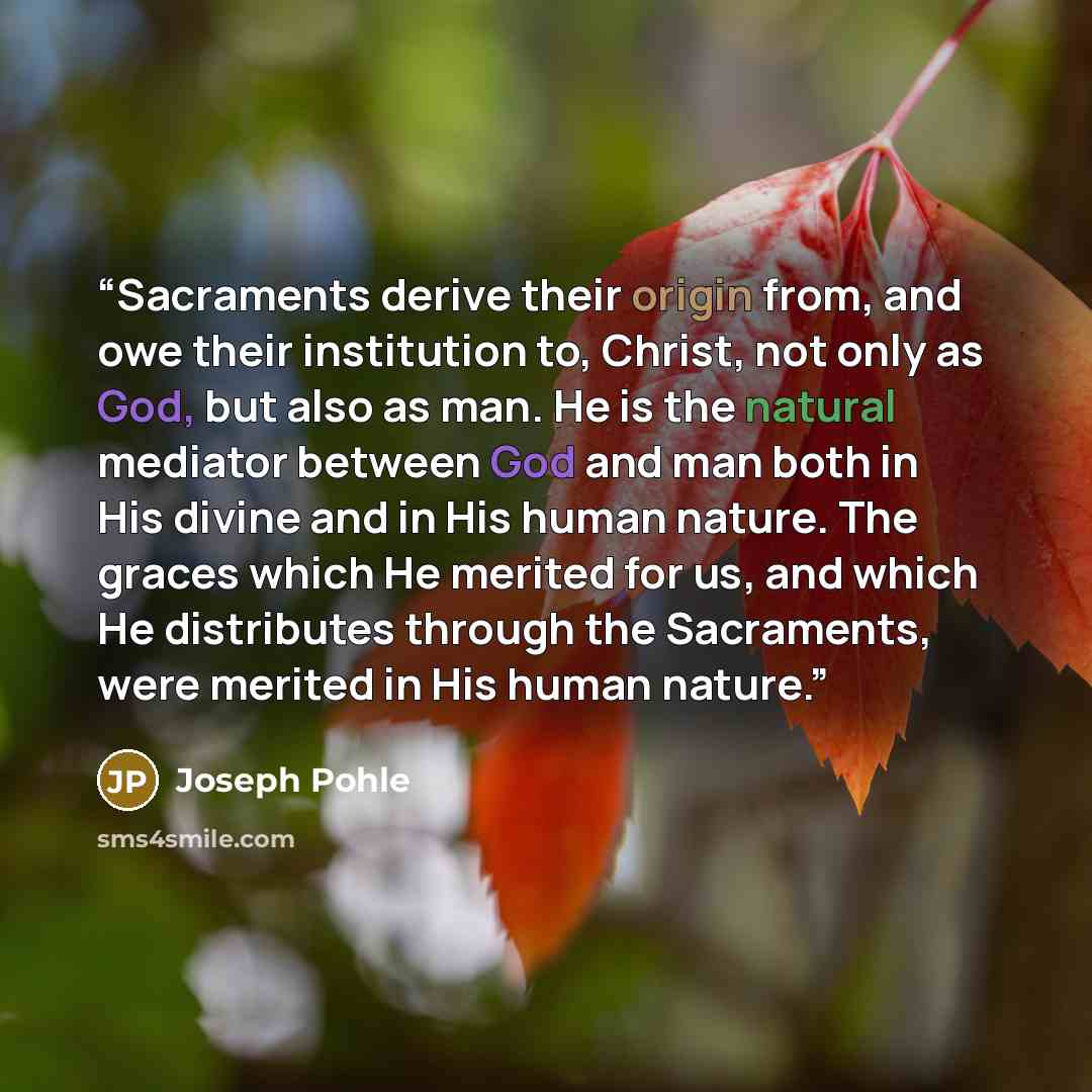 “Sacraments derive their origin from, and owe their institution to, Christ, not only as God, but also as man. He is the natural mediator between God and man both in His divine and in His human nature. The graces which He merited for us, and which He distributes through the Sacraments, were merited…” quote by Joseph Pohle