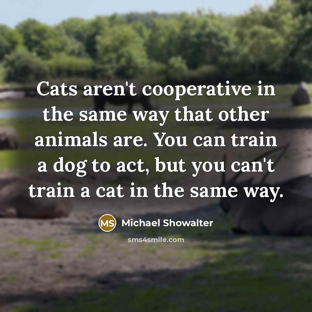 “Cats aren't cooperative in the same way that other animals…” quote by Michael Showalter