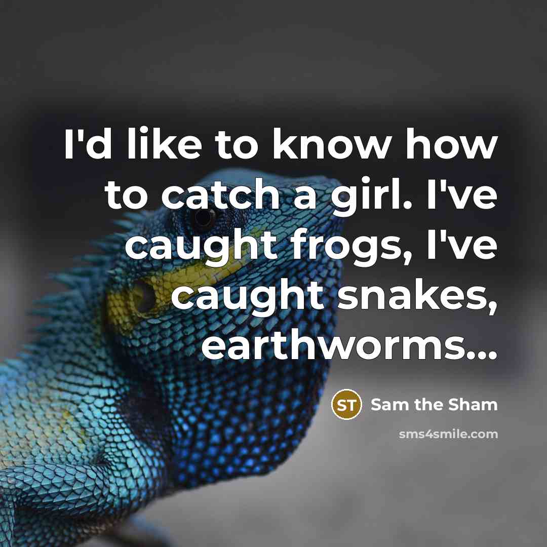 “I'd like to know how to catch a girl. I've…” quote by Sam the Sham