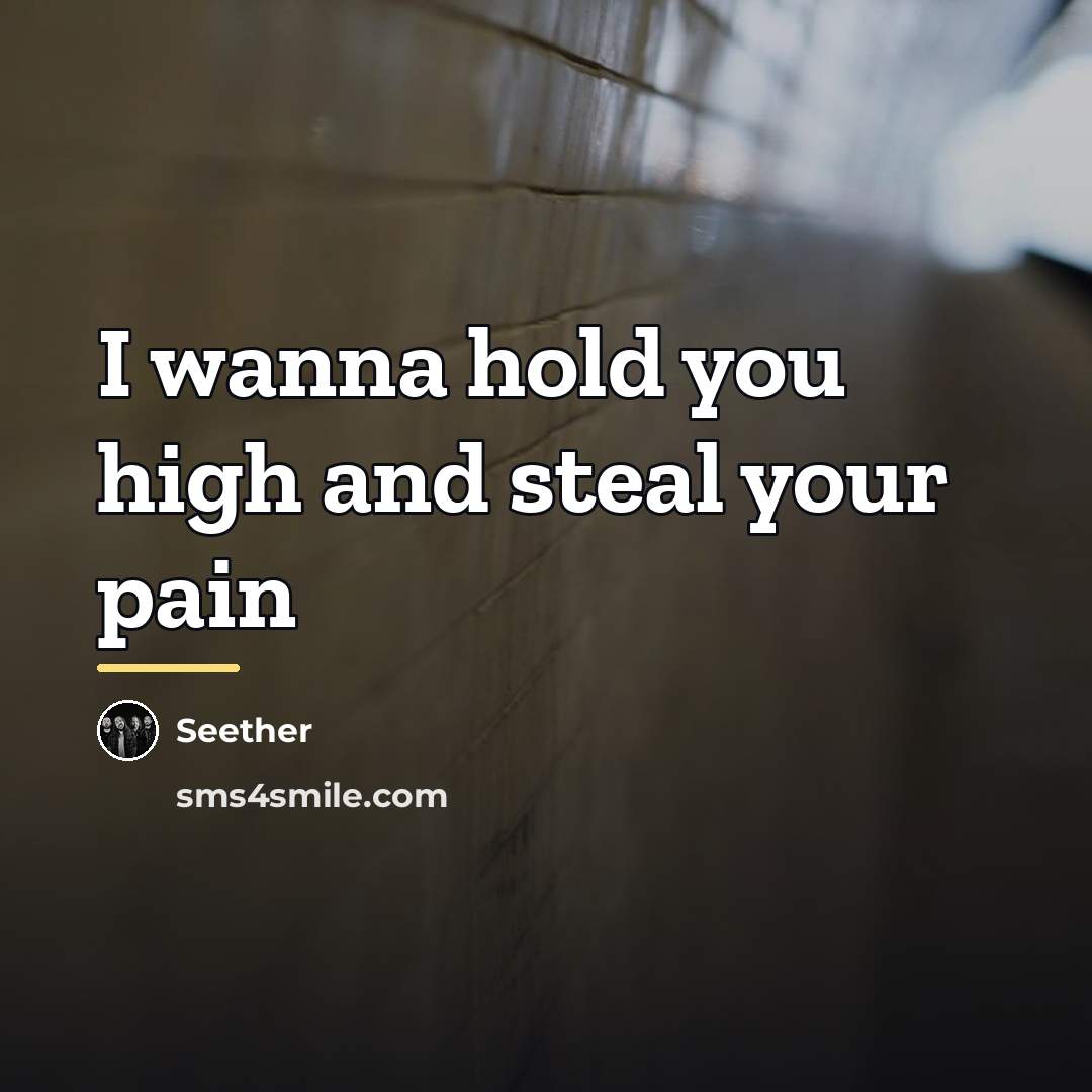 “I wanna hold you high and steal your pain…” quote by Seether